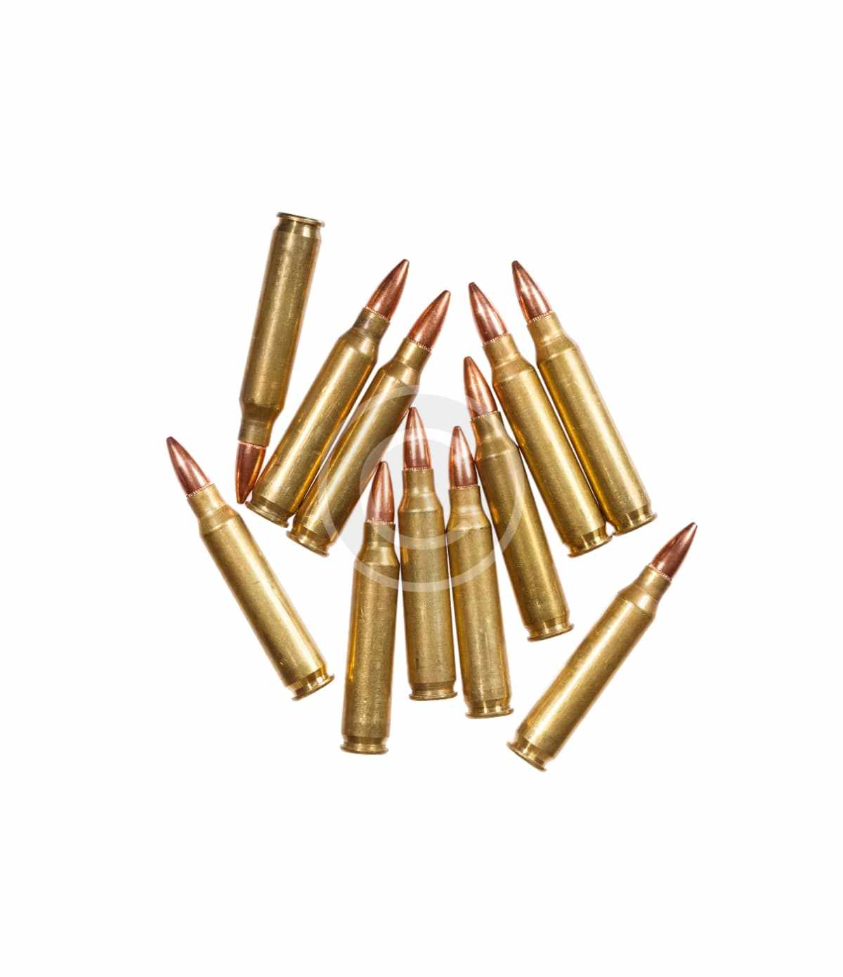 5.56x45mm Catridges